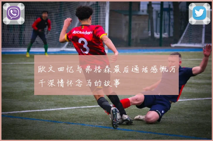 欧文回忆与弗格森最后通话感慨万千深情怀念马的故事
