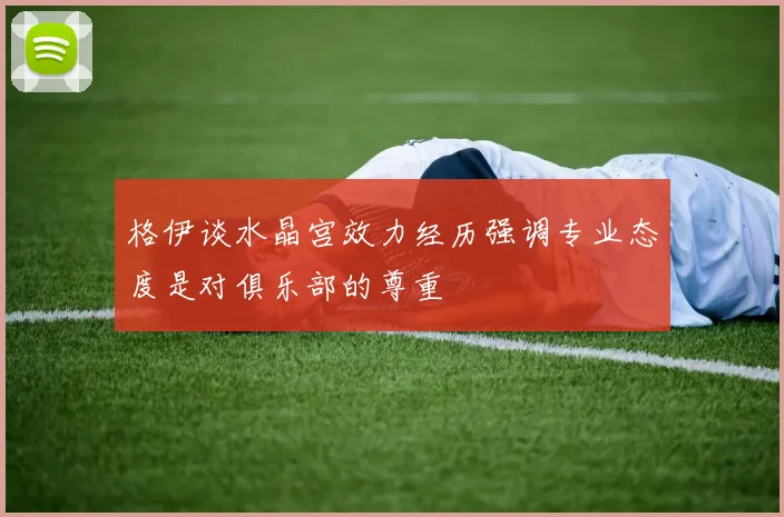 格伊谈水晶宫效力经历强调专业态度是对俱乐部的尊重